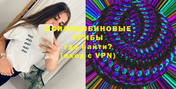 сатива Алексеевка