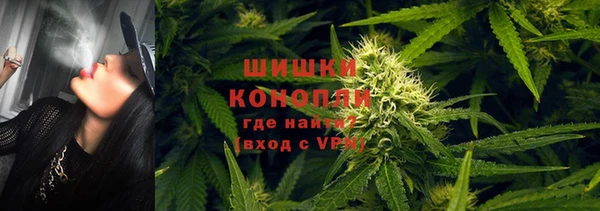 сатива Алексеевка