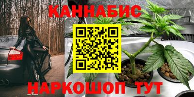 крисы Донецк
