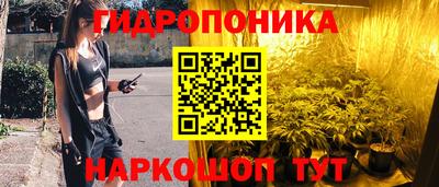 крисы Донецк